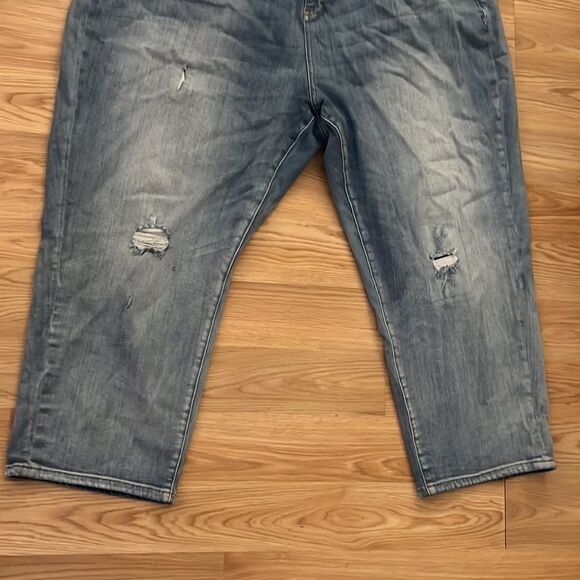 Anthropologie Pilcro and the Letterpress plus size crop jeans size 26W - Picture 3 of 12